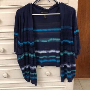 Blue Striped Cropped Cardigan